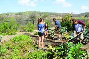 Give back: Cal Lutheran students give back and help out with the SEEd project on Service Day. Photos by Isabella Del Mese - Photo Editor