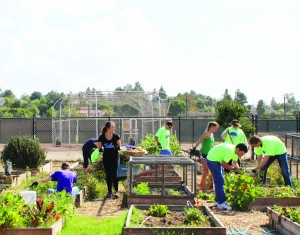 SEEd garden: Students helped out at Service Day by  gardening in the SEEd garden on campus.