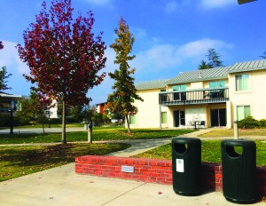 Clean up: The many trash and recycling cans located around campus make it easy for students to recycle and keep the campus clean. Photo by: Isabella Del Mese - Photo Editor