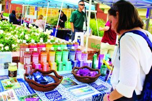 Amanda Adams looked at Dr. Bonner's products during the sustainability fair by the spine. 