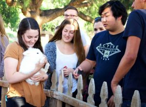 On April 15 students enjoyed themselves at the ASCLU Programs Board  event, We Bought a Zoo! Students were able to spend their Friday afternoon at CLU’s very own petting zoo, located in Kingsmen Park. Photo by Kamehanaokala Lee - Staff Photographer