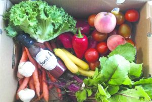 Vibrant Veggies: The contents of The Abundant Table produce box recieved at Samuelson Chapel by Cal Lutheran student Rachel Lapp. Photo courtesy of  Rachel Lapp