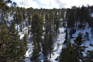 Big Bear, California. Photo Courtesy of Matthew Trujillo.