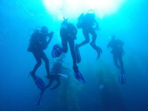 Scuba Excursion: Members of CLU Dive Club explored Catalina Island this past weekend as its final phase before receiving their open water SCUBA certifications. Photo courtesy of  Kim Elsner- Lead Instructor of PCH Scuba 