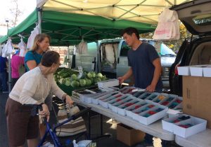 Berries on display: Andy Lee from Pudwill Berry Farms shows off his assortment of berries to interested customers at the Thousand Oaks Farmers’ Market. Photo by Rissa Gross- Reporter