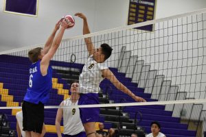 Sophomore Tony Moreno picked up a kill in Thursday game against Moorpark College. He will look to help  improve the team’s record next season in their pursuit of an NCAA Tournament appearance. Photo by Aliyah Navarro- Photojournalist