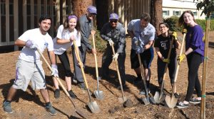 Cleaning up the county: Students participate in the annual Day of Caring to plant 44 new trees on campus. Photo by Francisco Atkinson - Photojournalist