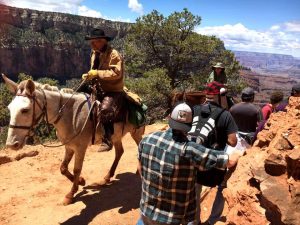 Geology ‘rocks’: Students in the Environmental Geology club embark on guided expeditions through Colorado, Arizona and southern California (above) to study the Earth and learn form professionals. Photo provided by the Cal Lutheran Environmental Geology Club