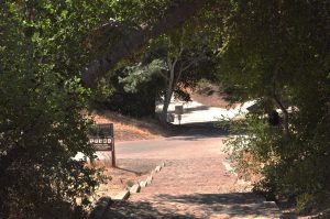 The entrance to the trail right before the campground that is under investigation. Photo by Francisco Atkinson - Photojournalist