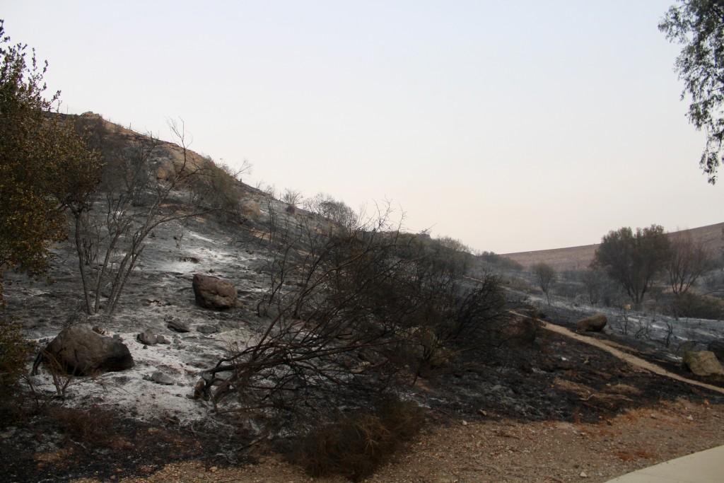 Burnt hillside above Three Springs Park in Westlake.  Photo by Brooke Stanley - Sports Editor 