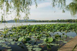 The Mekong River in Laos photographed by Erik Fruth from a previous trip to Laos.