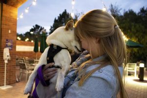 Dublin, Religion professor Rick Hankin's Shibu Inu, gets a hug from Emily Graybill after enjoying a ‘puppuccino’ at Starbucks.  Photo by Jessica Colby- Photojournalist. 