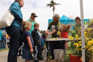 Nature’s artistry: People who attended Eco Fest had the opportunity to make arts and crafts using plants and flowers from the local area. Photo by Gabby Flores - Photojournalist