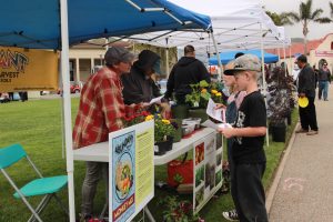 Back to our roots: Children learn about vegetation in Ventura County, as well as how to start growing their own plants.  Photo by Gabby Flores - Photojournalist