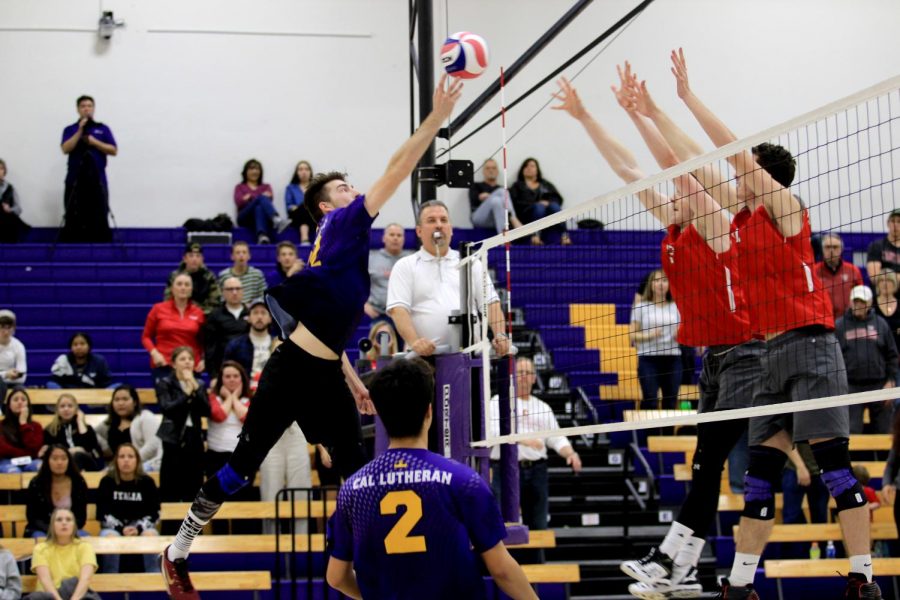 Senior opposite hitter Andrew Reina attempts to tip the ball over the Carthage block.