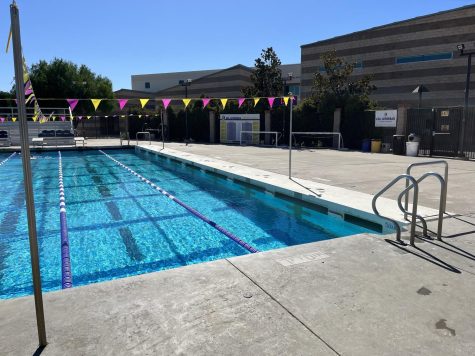 Samuelson Aquatics Center should replace the pool’s bulkhead