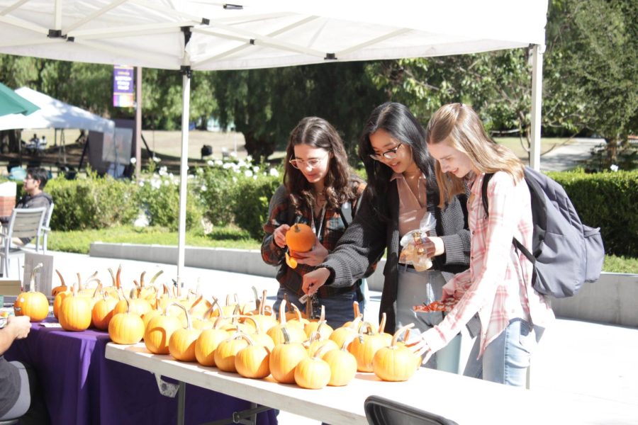 The Pumpkin Drive is just one of the many events that the Student Philanthropy Council does throughout the year, giving fun and free events to students who donated.
