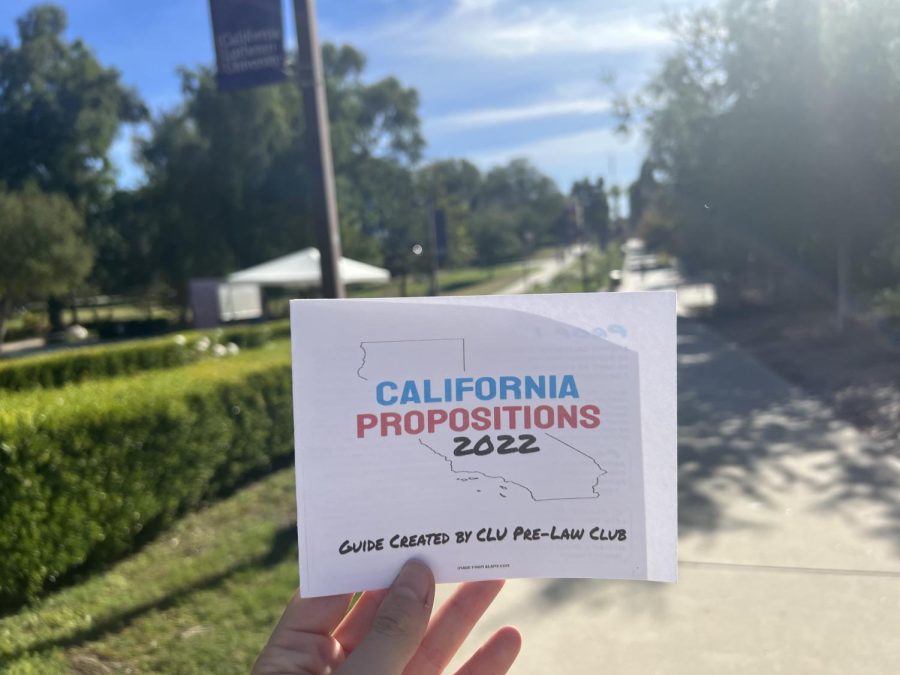 hand holding up pamphlet of California propositions