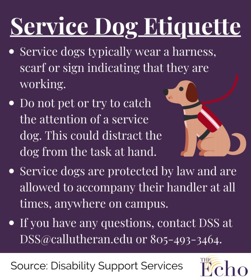 Service Animals: Its super important to have an understanding that they are a tool for the owner