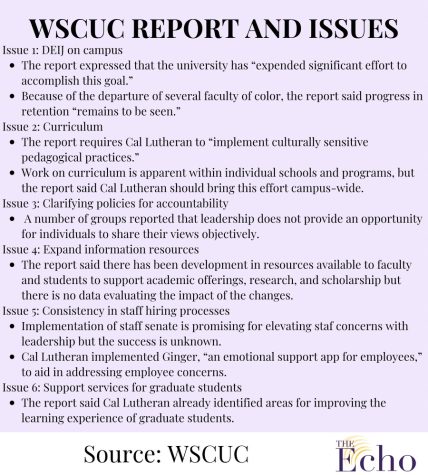 WSCUC Team Report results