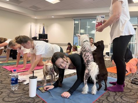“Once you do a plank with a puppy you might never want to do a plank without a puppy,” yoga instructor Farah Mitha said.