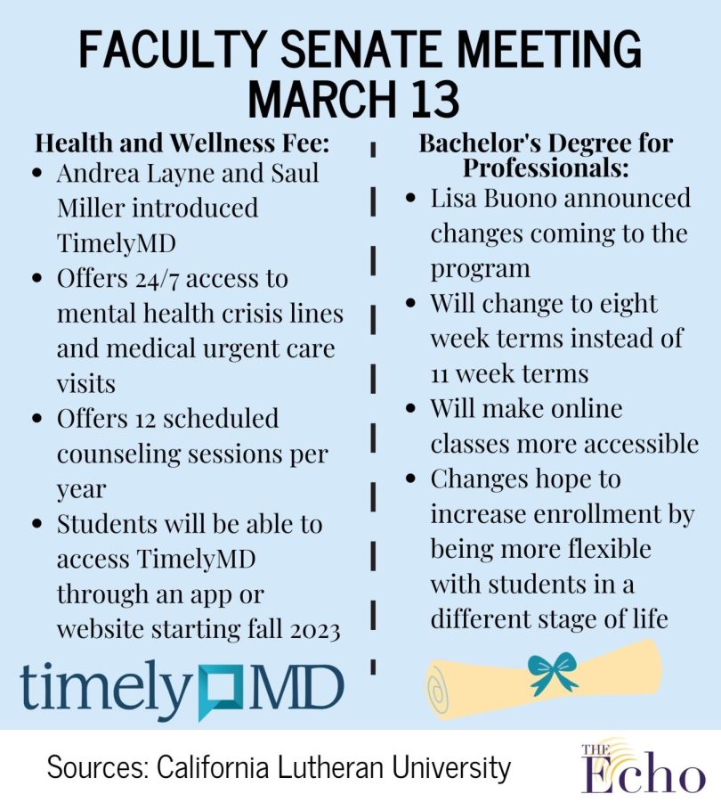 March 13 Faculty Senate Meeting