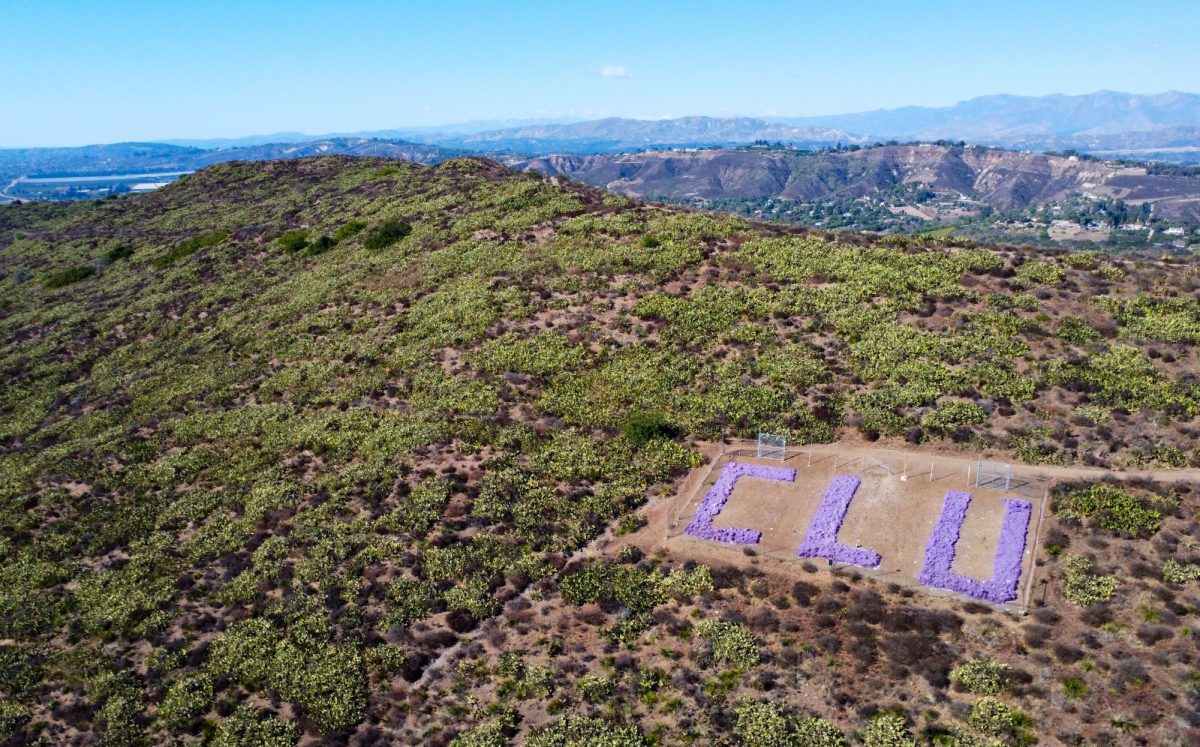 “Students can go right through this program, they can get a degree from Cal Lutheran without knowing a single thing about environmental sustainability,” said Professor and Chair of the Earth and Environmental Sciences Department Robert Dull. “I think, in today's age, and where we are going as a planet and as a country and as a state, people are prioritizing this more and more.”