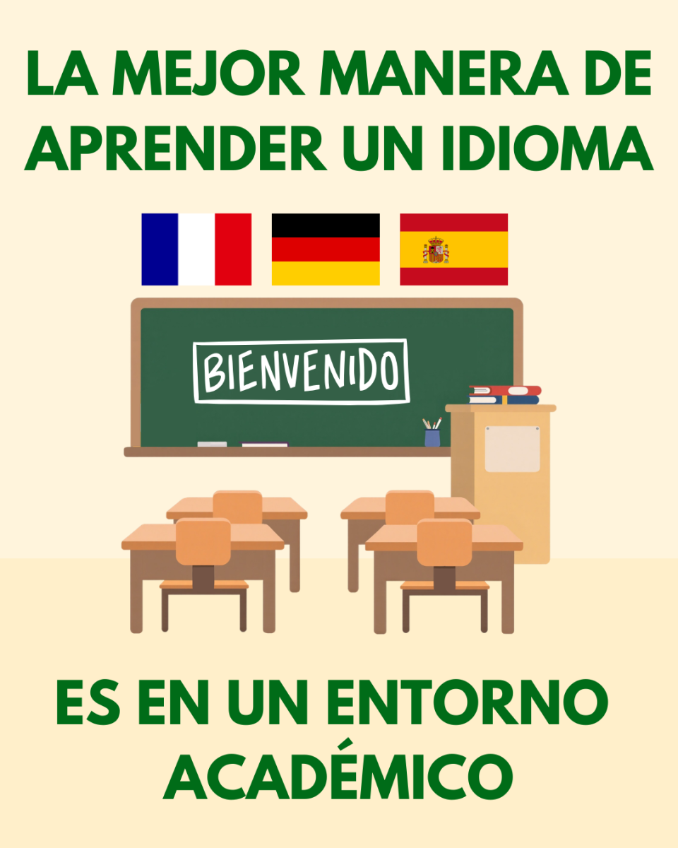 La Mejor Manera De Aprender Un Idioma Es En Un Entorno Académico